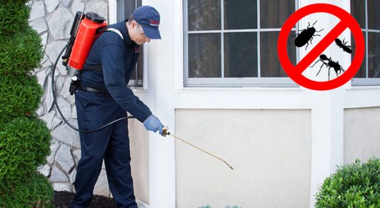 Nergiz Karınca İlaçlama böcek ilaçlama ve haşere kontrolü — ilaclama-tr.com